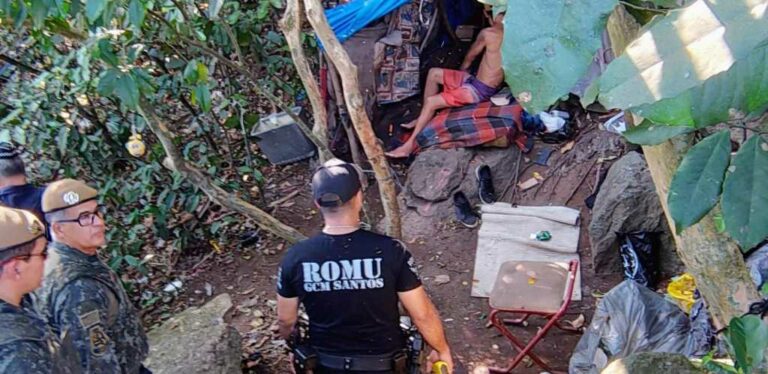 Força-tarefa vai à Ilha Urubuqueçaba, em Santos, para combater crimes ambientais