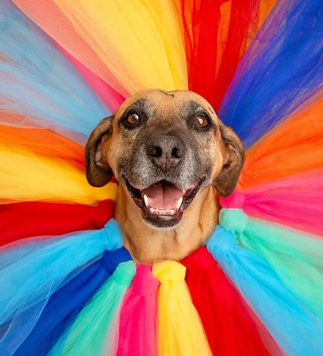 Matuê, o “Frentiscão” famoso da web, comemora aniversário com ação solidária