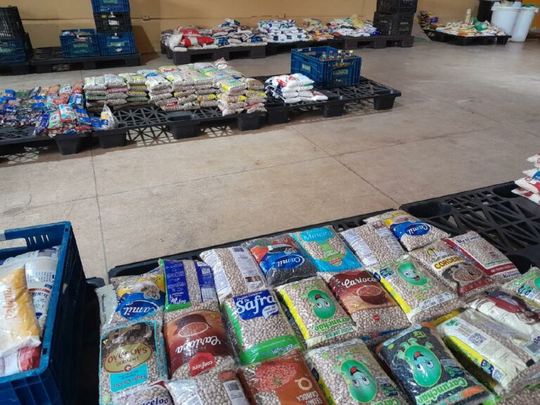 Show do Capital Inicial arrecada 1,6 tonelada de alimentos, estima Fundo Social