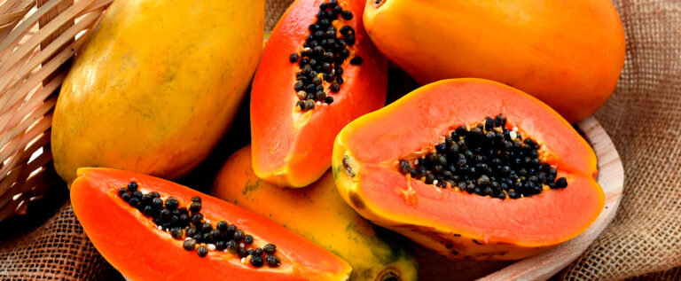 Preço da cesta básica tem alta em fevereiro no Vale do Paraíba, aponta Nupes