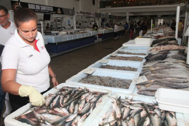 Mercado de Peixe de Santos faz Festival da Sardinha por R$ 11,99