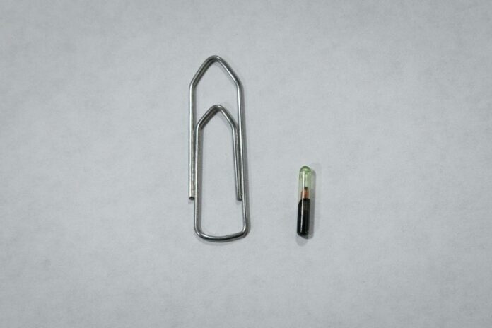 Microchip tem tamanho de um grão de arroz / Foto: Divulgação