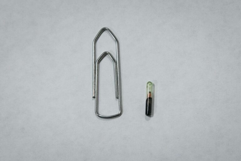 Microchip tem tamanho de um grão de arroz / Foto: Divulgação