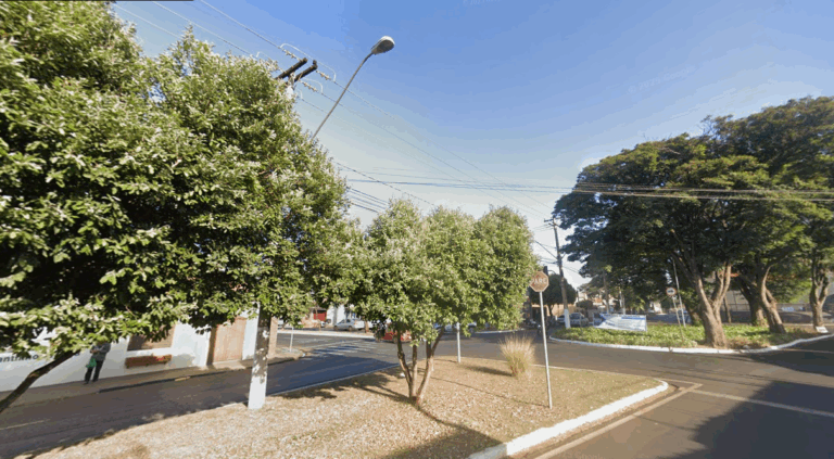 Com Sertãozinho no pódio, SP tem as cidades mais arborizadas do país; veja quais