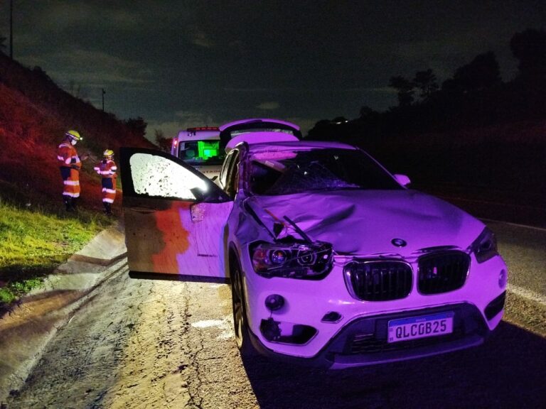 Cavalo solto na pista causa acidente na Rodovia Santos Dumont