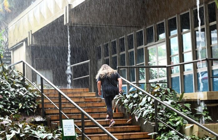 WhatsApp Image 2025-04-01 at 15.37.15