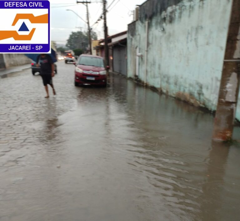 Chuva forte provoca quedas de árvores, deslizamentos e alagamentos na região