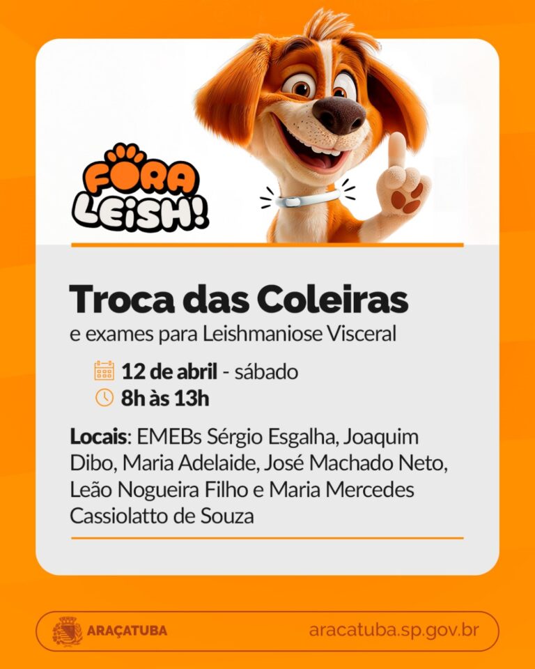 Ação contra leishmaniose promove troca de coleiras em escolas de Araçatuba