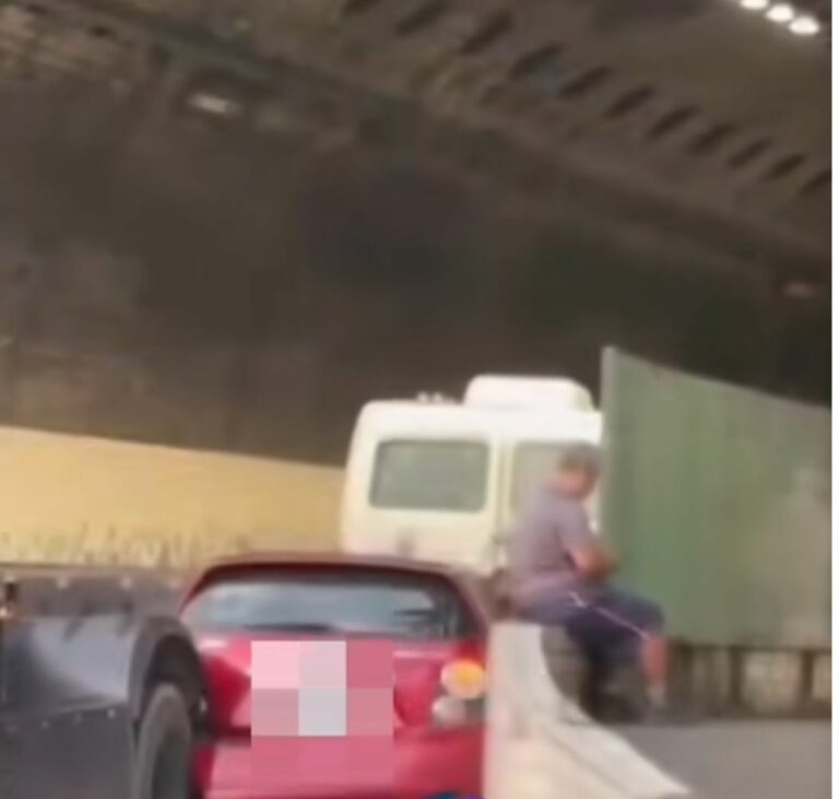 Reprodução - Viver em Santos