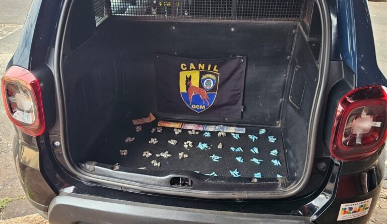 Com 87 parangas de maconha e 95 pinos com cocaína, menor é detido por tráfico de drogas no Sumarezinho