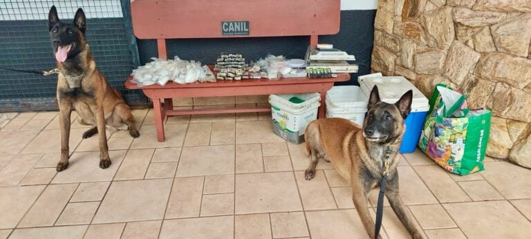 Canil da Guarda Municipal apreende mais de 4 kg de drogas no Jardim Novo Campos Elíseos