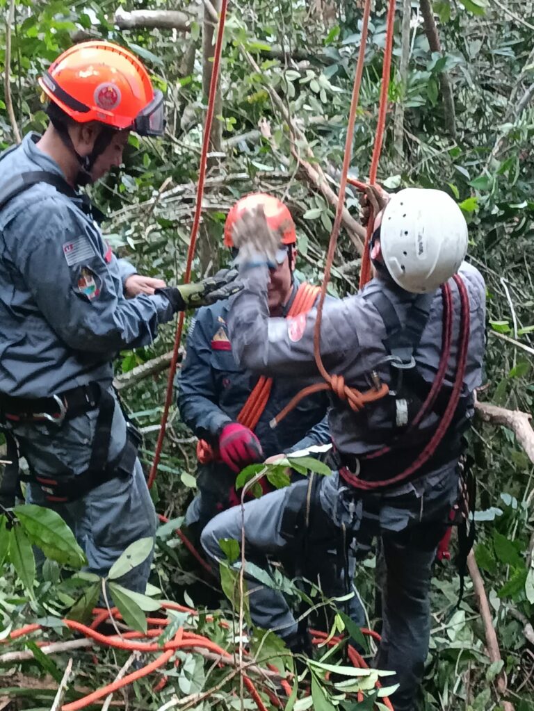 Mulher de 43 anos é resgatada após saltar de parapente e ficar presa em uma árvore, em Caraguatatuba