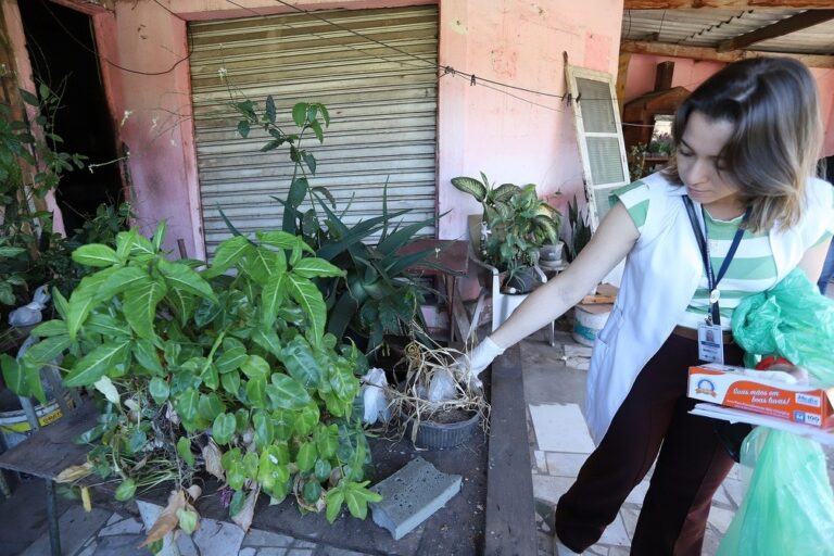 Campinas realiza 7º mutirão contra dengue nesta quarta-feira em dez bairros