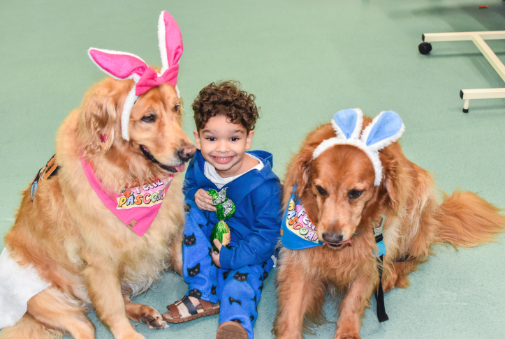 No clima da Páscoa Hospital do Vicentino recebe Mel e Boris para visitar pacientes e funcionários