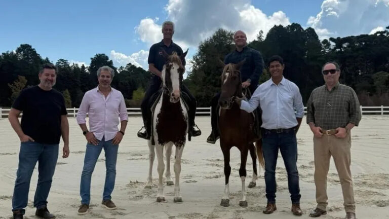 Campos do Jordão recebe Exposição Estadual do Cavalo Mangalarga