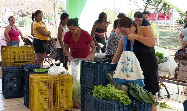 PAA de Birigui atende 4 mil pessoas com alimentos frescos da agricultura familiar