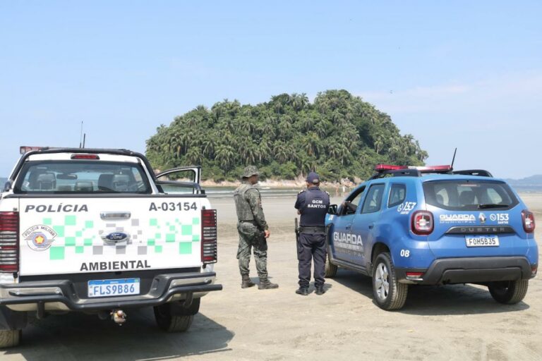 Força-tarefa volta à Ilha Urubuqueçaba, em Santos, e encontra mais dois invasores e novos focos de incêndio