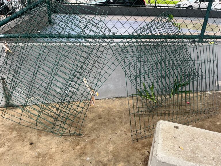 Dupla é presa em flagrante após furtar gradis de praça pública em Santos