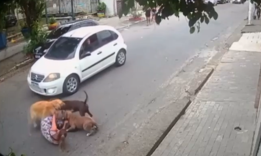 Grávida de sete meses cai no chão ao tentar defender cachorro de possível ataque em Santos; VÍDEO