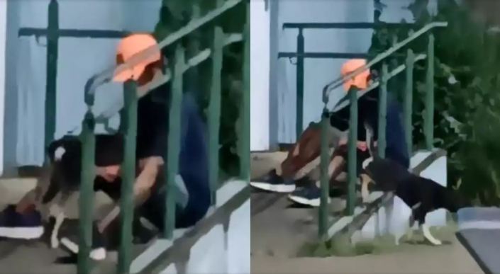Homem é visto abusando de cachorro em praça do Vale do Ribeira