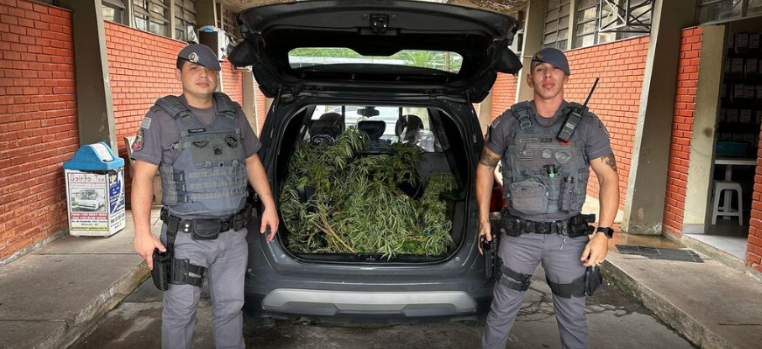 Pé de maconha é encontrado dentro de casa e mulher é presa em cidade do Vale do Ribeira