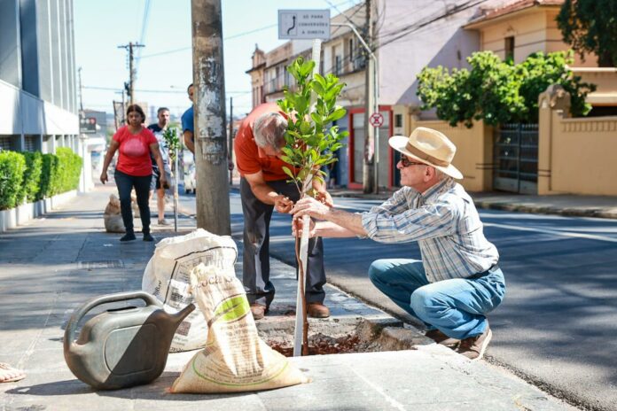 planta_ai_-_fernando_gonzaga_4