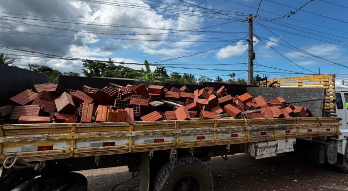 Carga de tijolos é apreendida em área de preservação ambiental em Bertioga