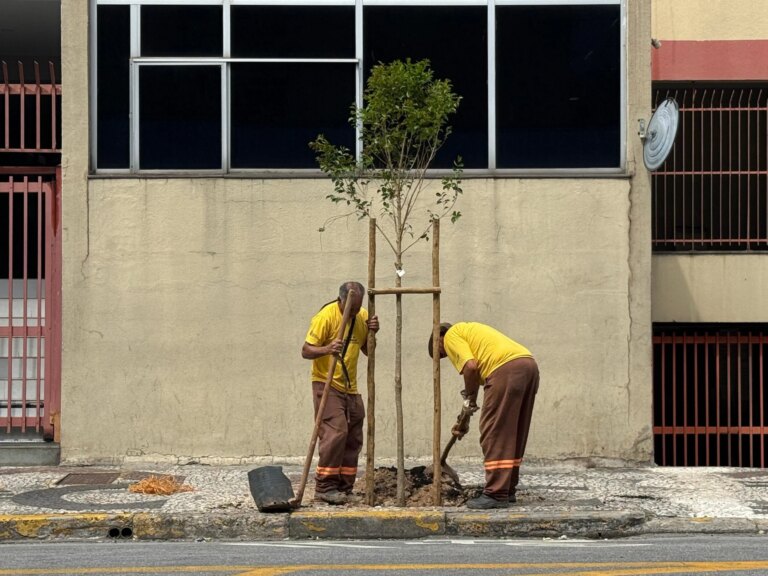 UBSs de São Paulo viram pontos de plantio e árvores ganham nome de moradores