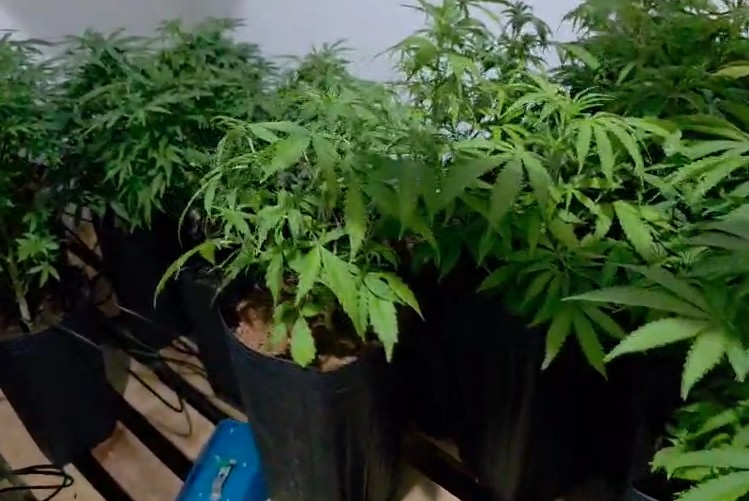 Operação Colômbia desmantela laboratório de drogas sintéticas em Mogi Guaçu