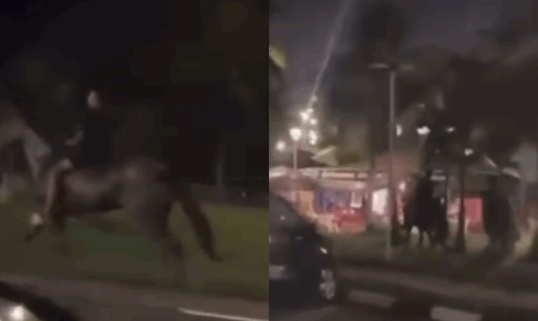 Dupla é flagrada andando a cavalo em alta velocidade em ciclovia de São Vicente; VÍDEO