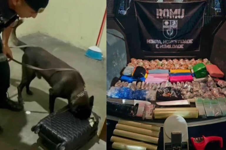 Cão farejador encontra 17 quilos de drogas em comunidade do litoral