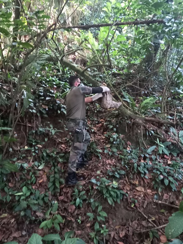 Atuação do Grupamento de Defesa Ambiental de Guarujá totaliza mais de 3 mil ocorrências