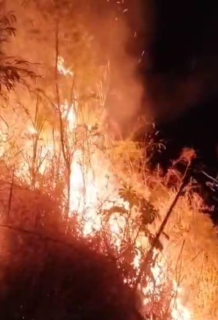 Incêndio atinge mata nativa no bairro da Enseada, em São Sebastião