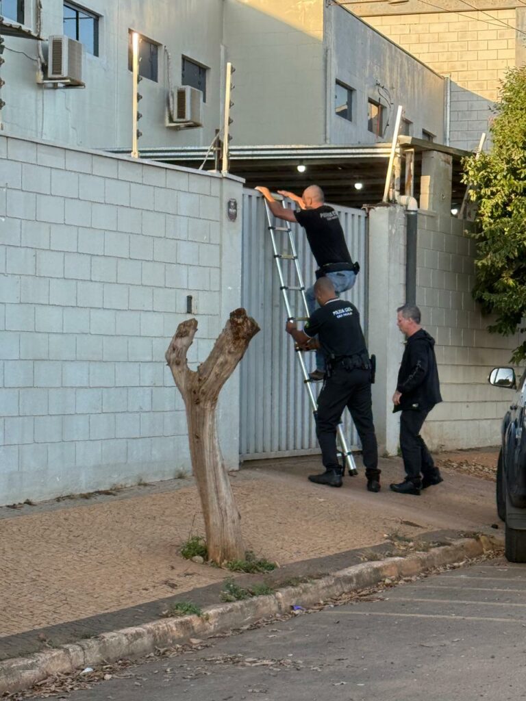 25 presos em megaoperação que descobriu fábrica de cigarros