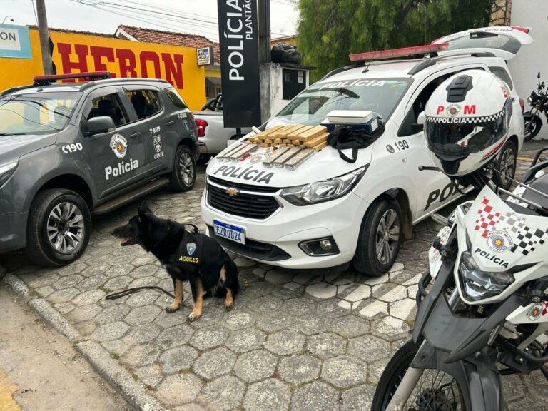 Prisão ocorreu com apoio dos cães farejadores