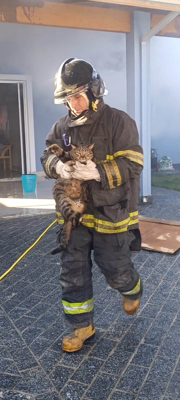 Bombeiros resgatam três animais de estimação de incêndio em residência, em Caraguatatuba