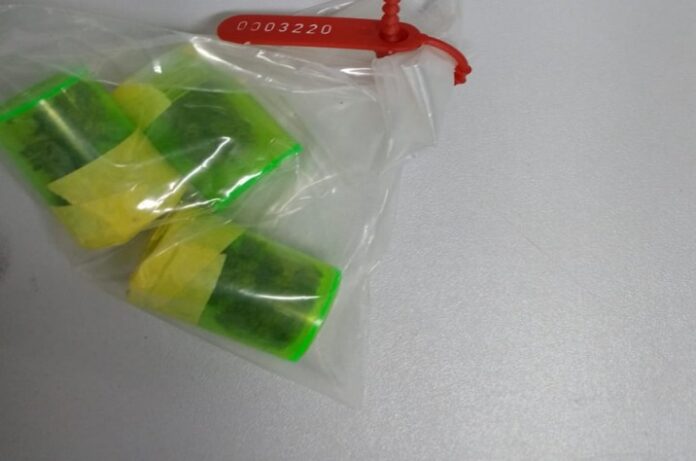 Polícia prende mulher por tráfico de drogas durante operação em São Sebastião