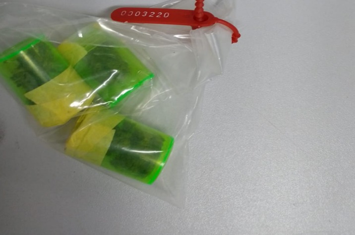 Polícia prende mulher por tráfico de drogas durante operação em São Sebastião