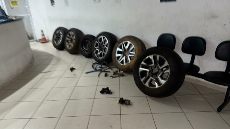 Guarda municipal prende dois suspeitos por furtos de estepes