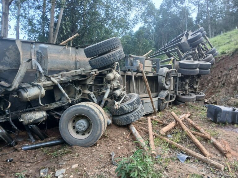 Carreta carregada com madeira cai em ribanceira na zona rural de Cunha