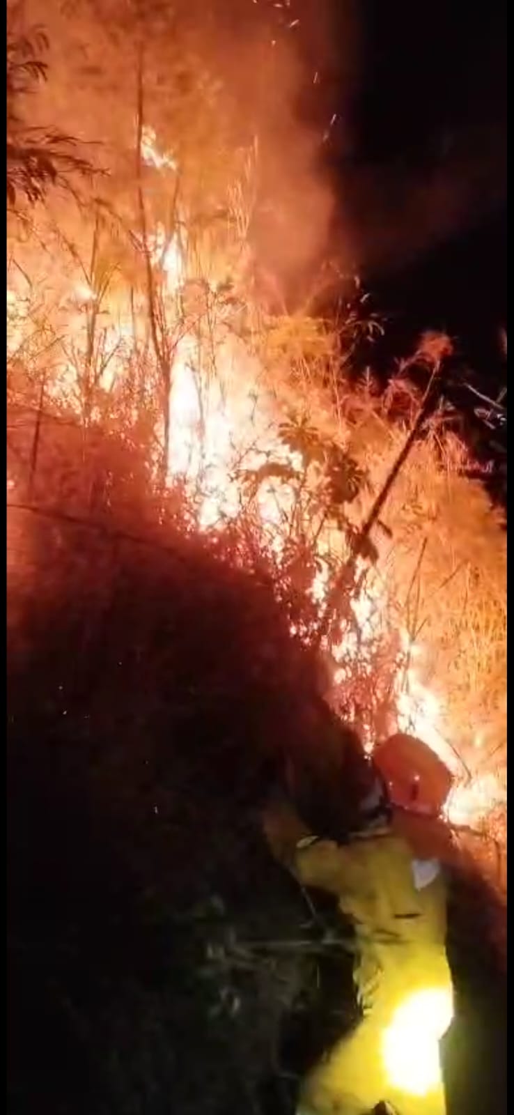 Incêndio atinge área de mata nativa em São Sebastião e mobiliza bombeiros e Defesa Civil
