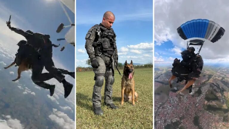 Cão da PM é o 1° a saltar de paraquedas em treinamento de intervenção tática em SP