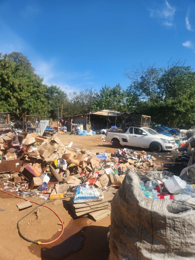 Depósito clandestino de recicláveis é descoberto em área com vegetação nativa em Campinas