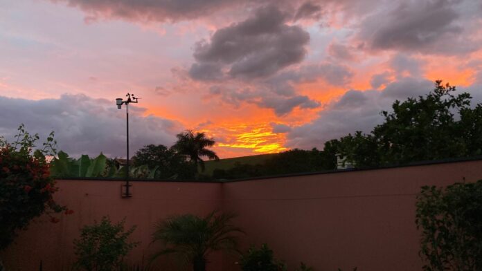 WhatsApp Image 2025-05-29 at 06.48.04