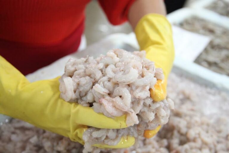 Festival do Camarão de Santos é prorrogado até a próxima semana; Confira!