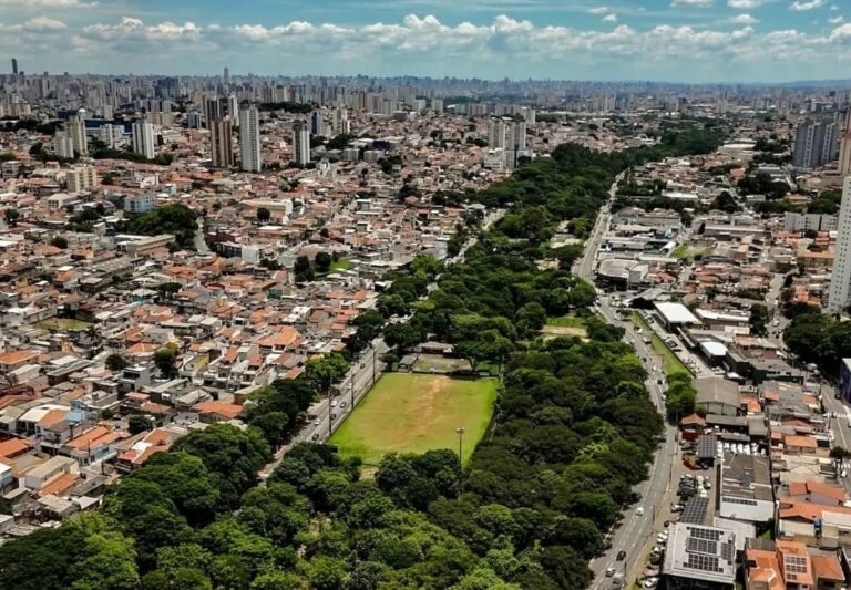 Ele plantou mais de 40 mil árvores e mudou o cenário de um bairro inteiro