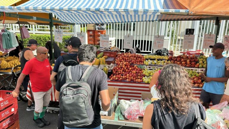 Força-tarefa combate irregularidades em feiras livres de Santos