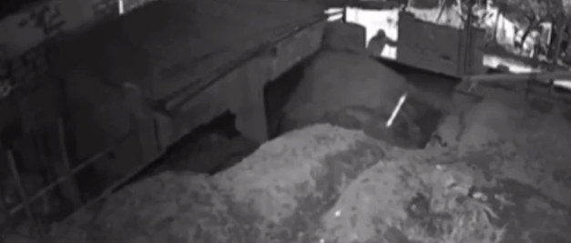 Idosa ajuda homem em suposto desmaio, e tem casa invadida e furtada por ele dias depois no Vale do Ribeira; VÍDEO