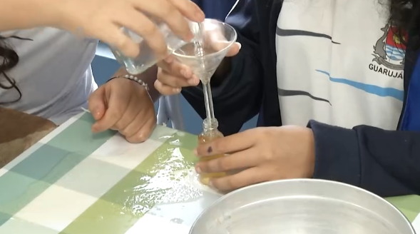 Repelente caseiro contra mosquito da Dengue é criado por alunos de Guarujá