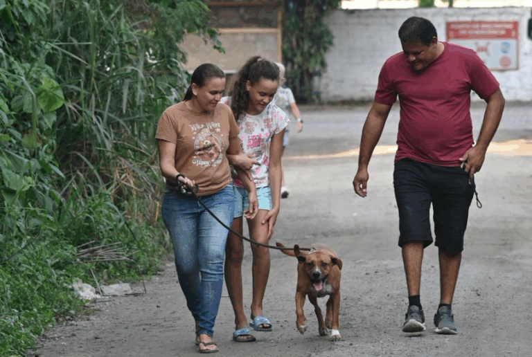 Prefeitura de Santos realiza aplicação gratuita da vacina V10 para cães do Município